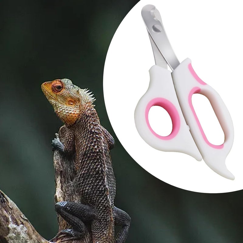 KEUYE Bearded Dragon Nail Clippers,Stainless Steel Bearded Dragon Toe Nail Clippers with Precise Angled Edges (Pinky White) - Image 5